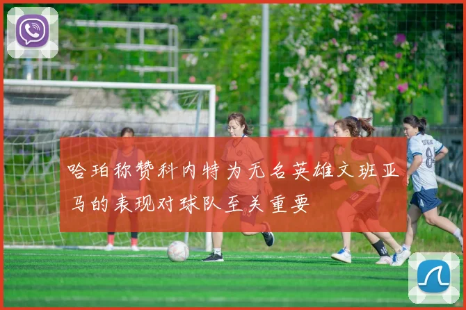 哈珀称赞科内特为无名英雄文班亚马的表现对球队至关重要